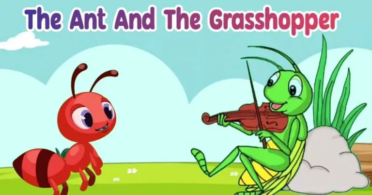 The Ant And The Grasshopper Bedtime Stories